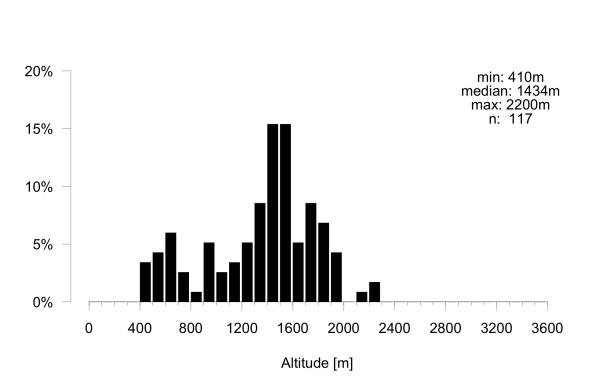 Wildbienen der Schweiz  - Stelis phaeoptera