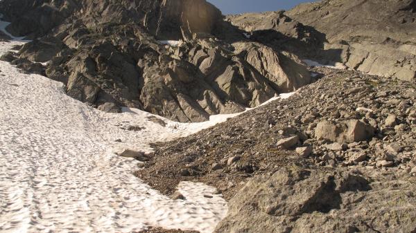 Carabes de Suisse  - Trechus tenuilimbatus