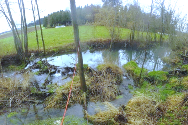 Schwarzbach