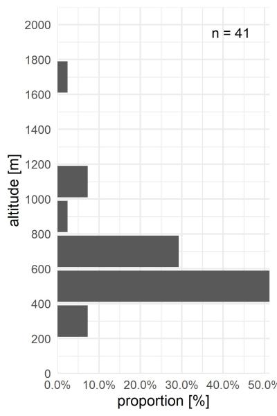 Carabes de Suisse  - Bembidion distinguendum distinguendum