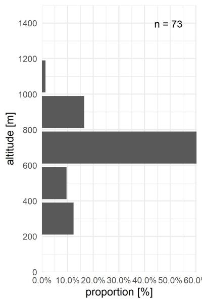 Carabes de Suisse  - Bembidion eques