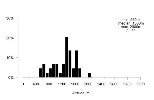 Les abeilles sauvages de Suisse  - Andrena afrensis