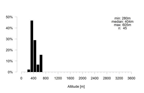 Les abeilles sauvages de Suisse Andrène noir-olive - Andrena nigroolivacea