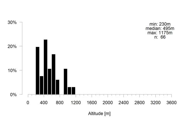 Les abeilles sauvages de Suisse Andrène de la Carotte - Andrena nitidiuscula