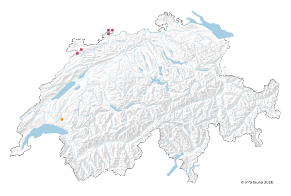 Carte des observation de Ecdyonurus insignis