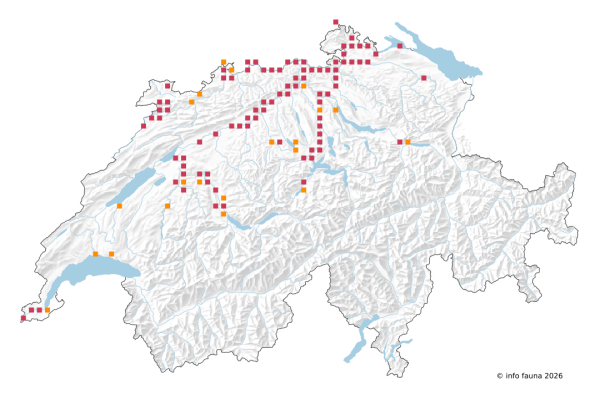 Carte des observations de Heptagenia sulphurea