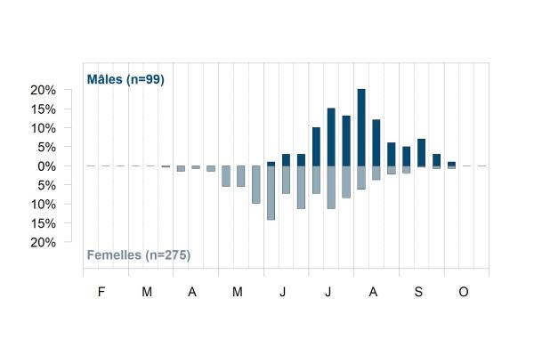 Les abeilles sauvages de Suisse Lasioglosse pieds-blancs - Lasioglossum leucopus