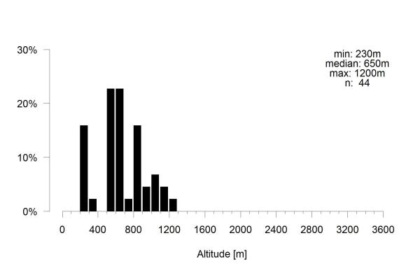 Les abeilles sauvages de Suisse  - Colletes marginatus