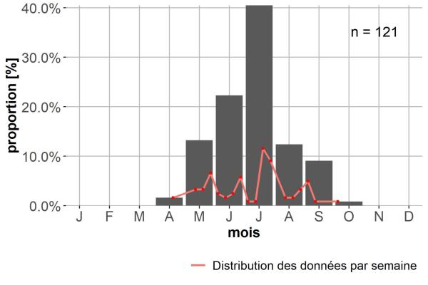 Carabes de Suisse  - Abax fiorii