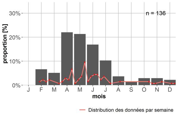 Carabes de Suisse  - Acupalpus dubius