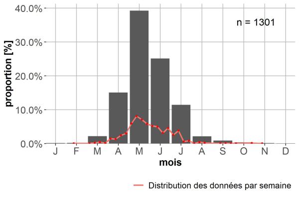 Carabes de Suisse  - Acupalpus meridianus
