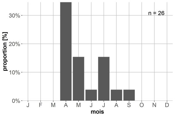 Carabes de Suisse  - Agonum impressum