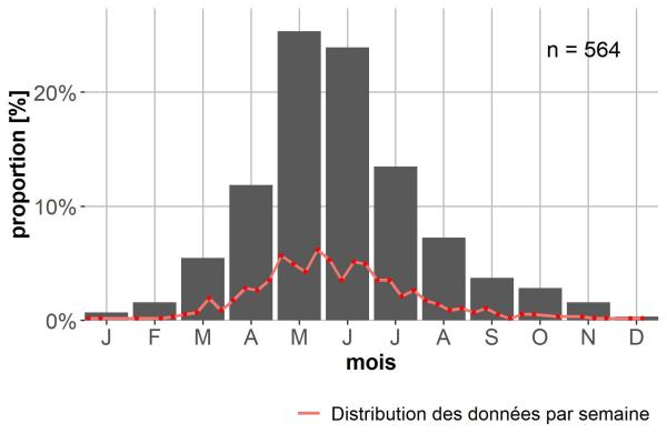 Carabes de Suisse  - Agonum micans