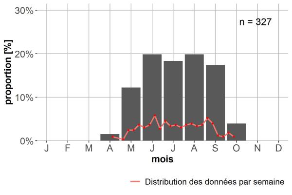 Carabes de Suisse  - Amara bifrons