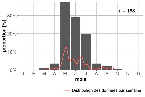 Carabes de Suisse  - Amara fulvipes
