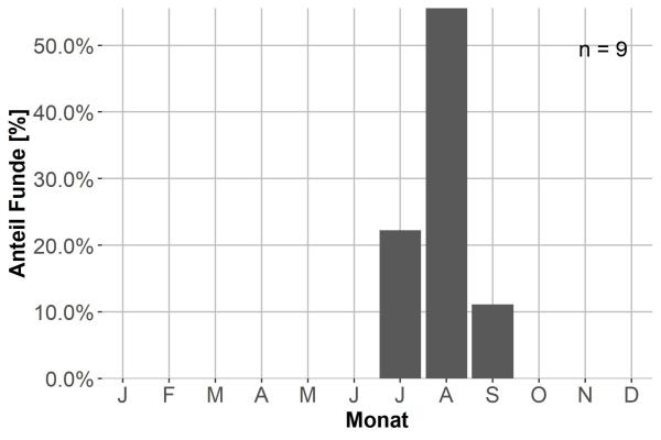   - Amara infuscata