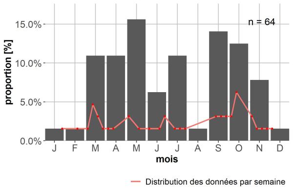 Carabes de Suisse  - Amara ingenua