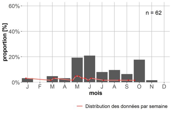 Carabes de Suisse  - Amara municipalis