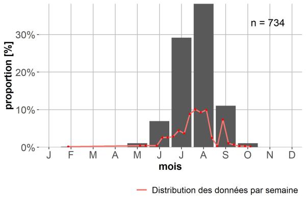 Carabes de Suisse  - Amara quenseli quenseli