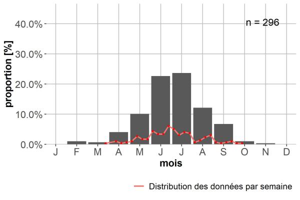 Carabes de Suisse  - Asaphidion pallipes