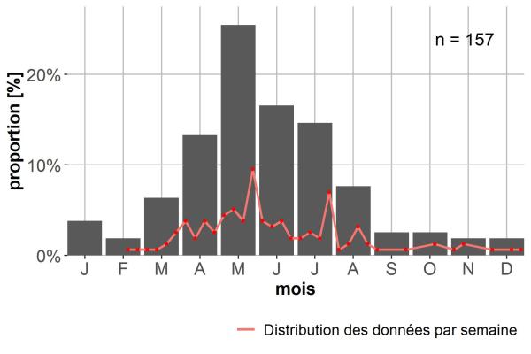 Carabes de Suisse  - Badister dilatatus