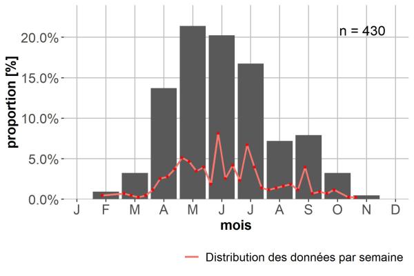 Carabes de Suisse  - Bembidion ascendens