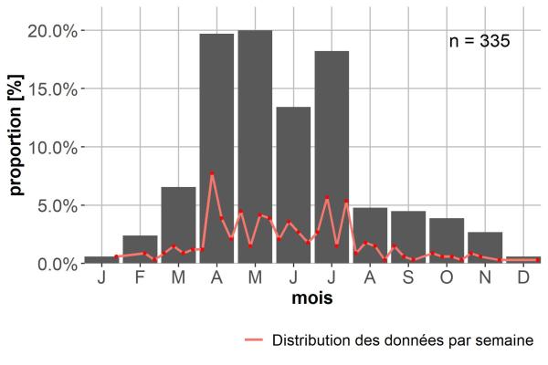 Carabes de Suisse  - Bembidion assimile