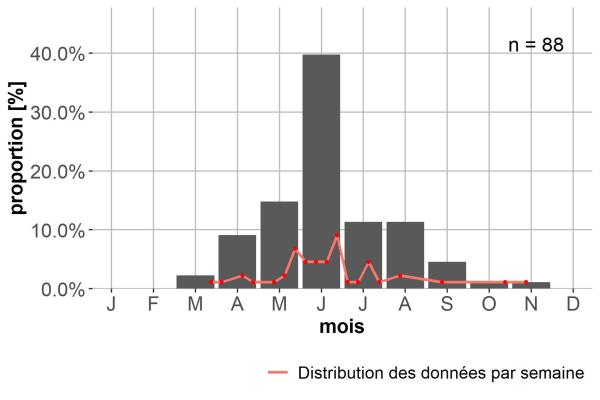 Carabes de Suisse  - Bembidion bruxellense