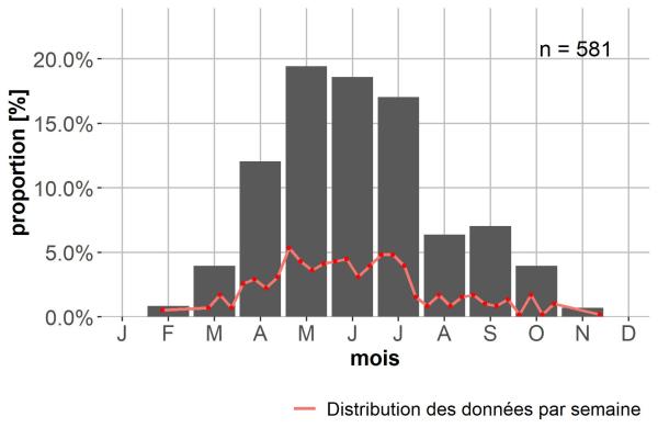 Carabes de Suisse  - Bembidion conforme