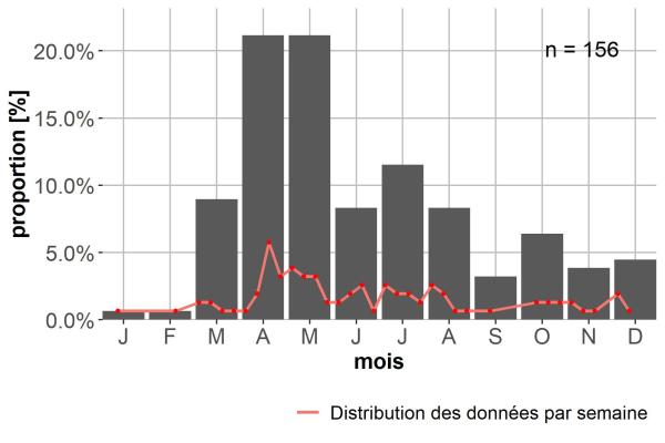 Carabes de Suisse  - Bembidion doris