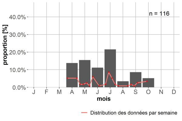 Carabes de Suisse  - Bembidion eques