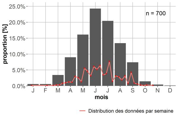 Carabes de Suisse  - Bembidion femoratum femoratum