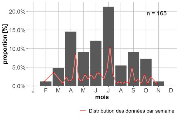 Carabes de Suisse  - Bembidion fulvipes