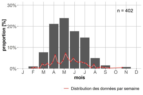 Carabes de Suisse  - Bembidion genei illigeri