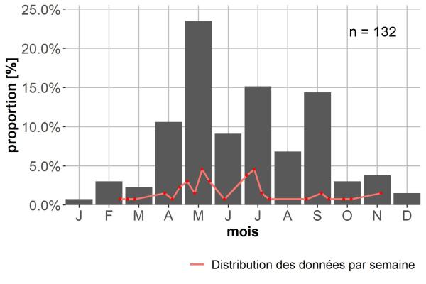 Carabes de Suisse  - Bembidion guttula