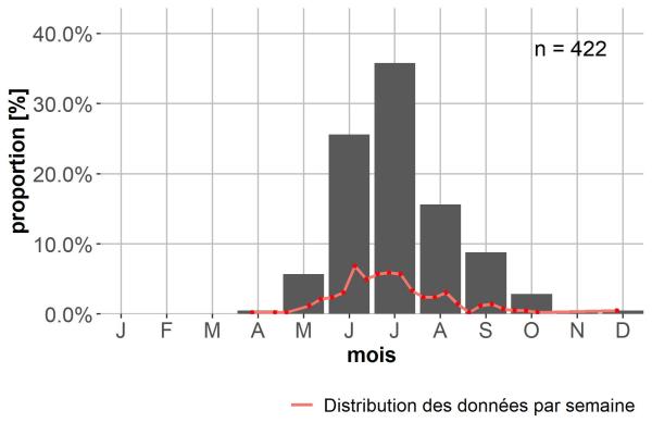 Carabes de Suisse  - Bembidion incognitum