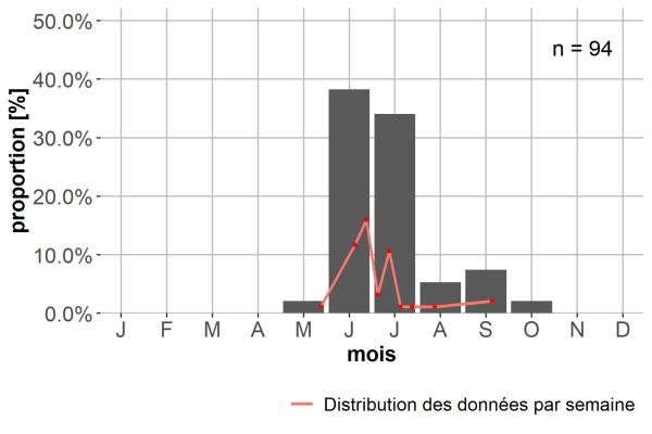 Carabes de Suisse  - Bembidion jacqueti jacqueti