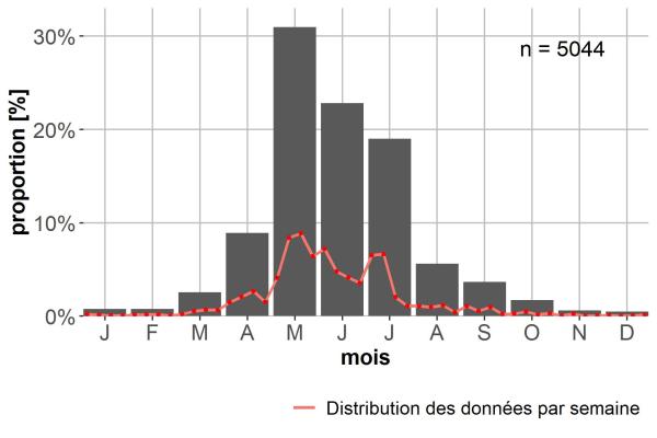 Carabes de Suisse  - Bembidion lampros