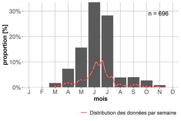 Carabes de Suisse  - Bembidion latinum