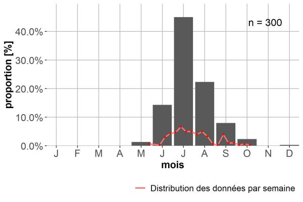Carabes de Suisse  - Bembidion magellense alpicola