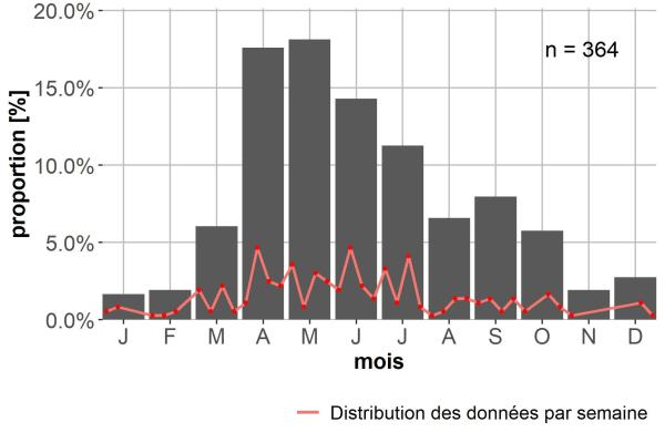 Carabes de Suisse  - Bembidion mannerheimii