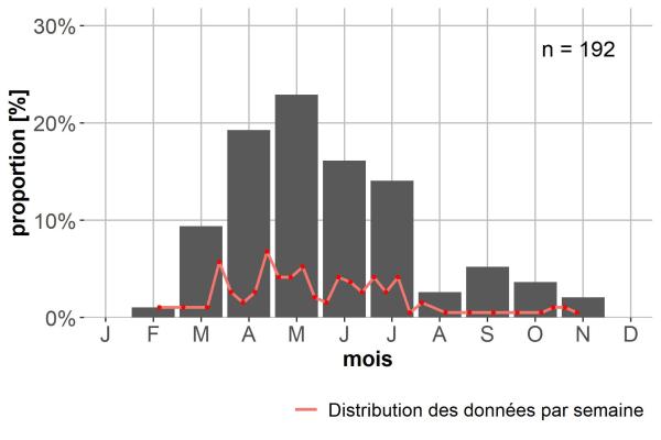 Carabes de Suisse  - Bembidion milleri milleri