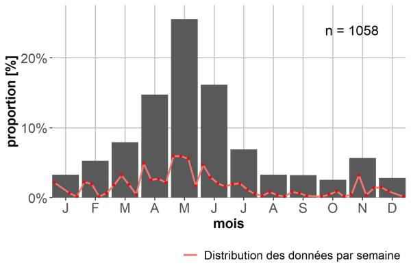 Carabes de Suisse  - Bembidion obtusum