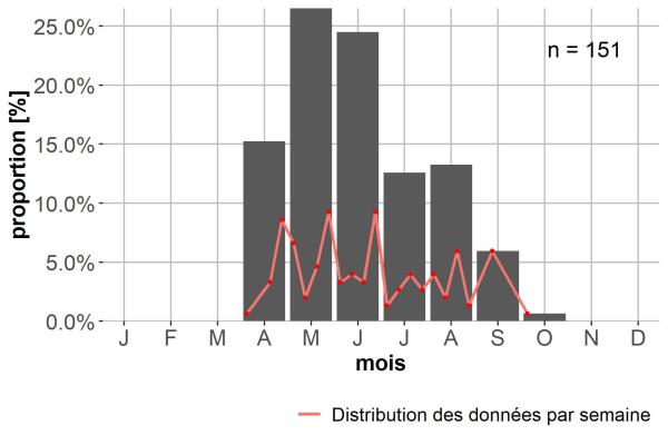 Carabes de Suisse  - Bembidion prasinum
