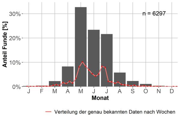   - Bembidion properans