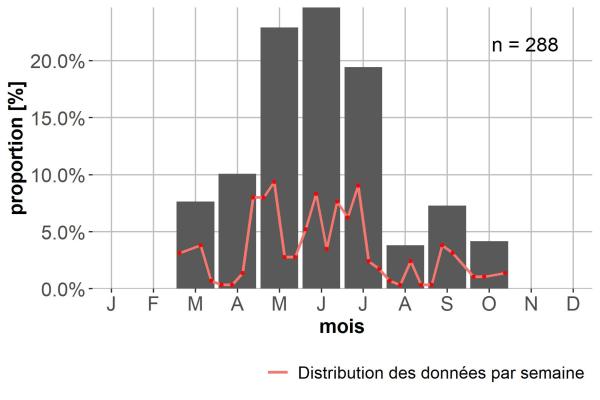 Carabes de Suisse  - Bembidion pseudascendens