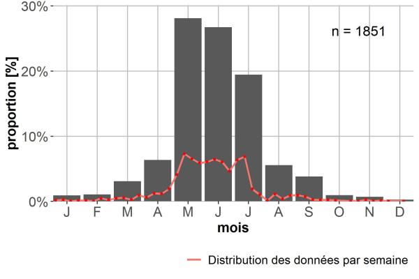 Carabes de Suisse  - Brachinus explodens