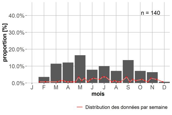 Carabes de Suisse  - Bradycellus csikii