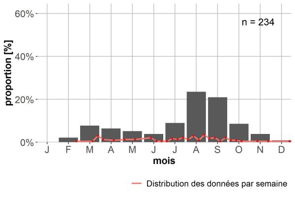 Carabes de Suisse  - Bradycellus harpalinus
