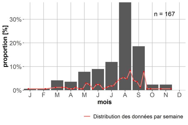 Carabes de Suisse  - Bradycellus verbasci